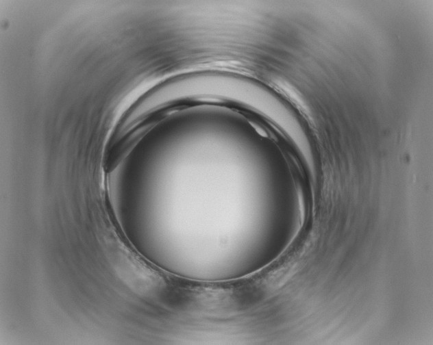 X0000088481324200705221407