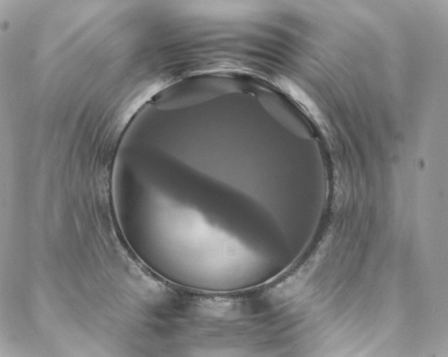 X0000088481329200705221407