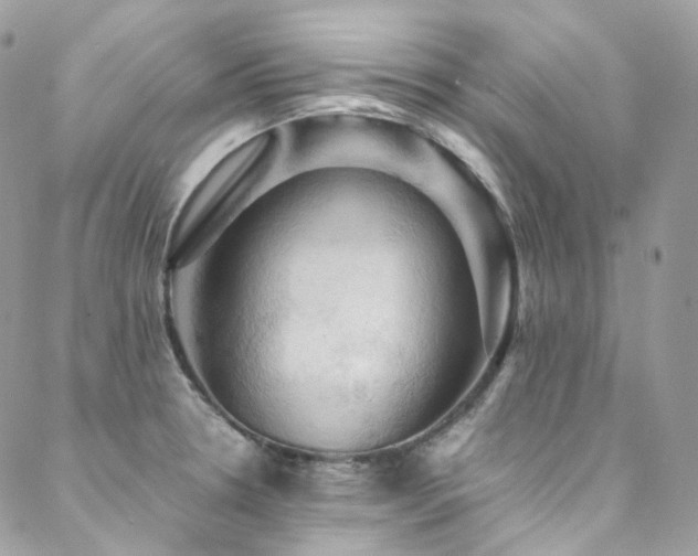 X0000088481330200705221407