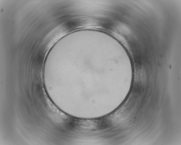 X0000088481338200705221407