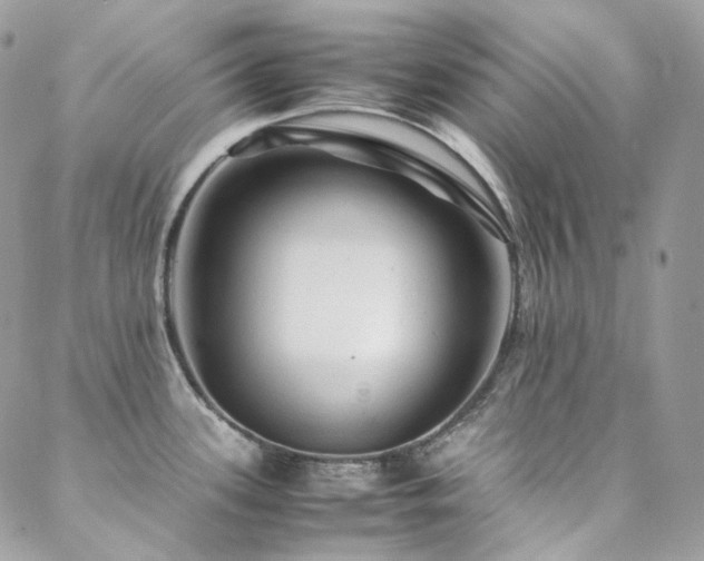 X0000088481339200705221407
