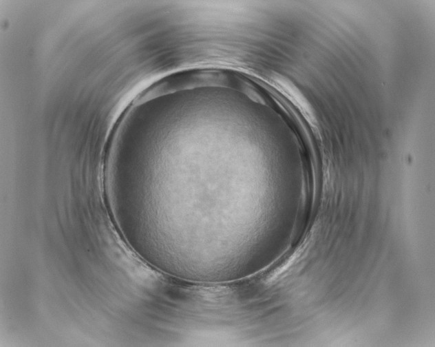 X0000088481340200705221407