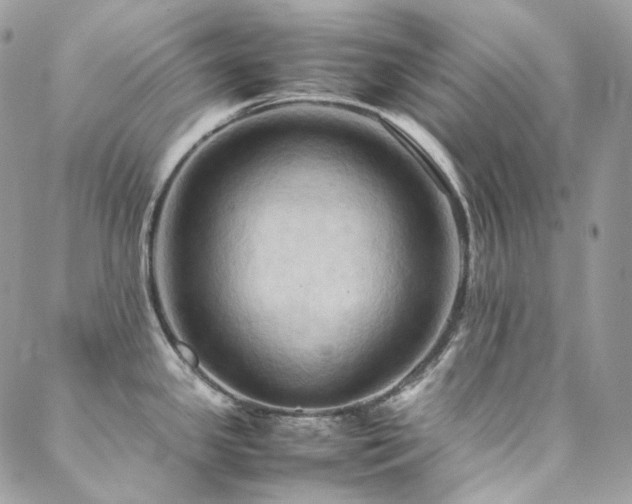 X0000088481341200705221407