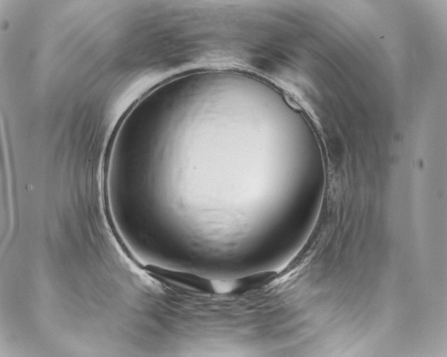 X0000088481343200705221407