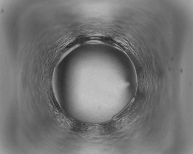 X0000088481345200705221407