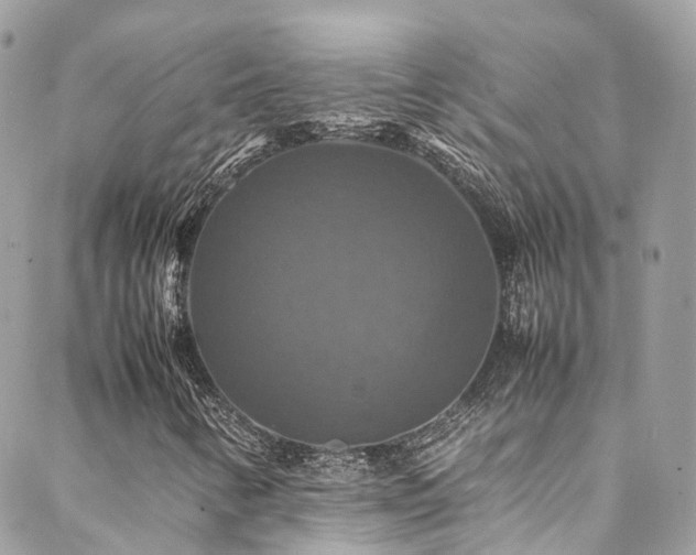 X0000088481346200705221407