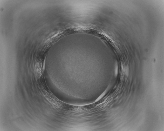 X0000088481348200705221407