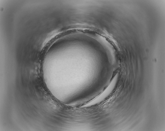 X0000088481352200705221407