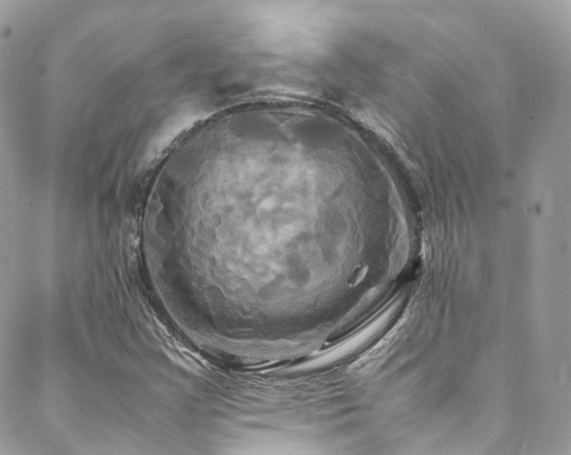 X0000088481355200705221406