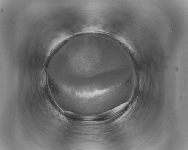X0000088481358200705221406