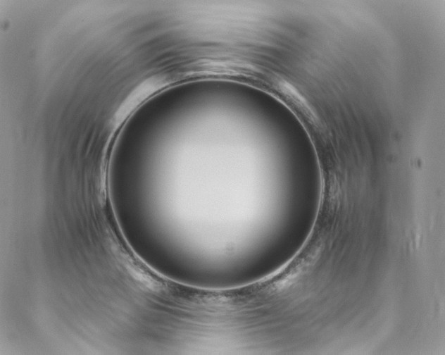 X0000088481370200705221406