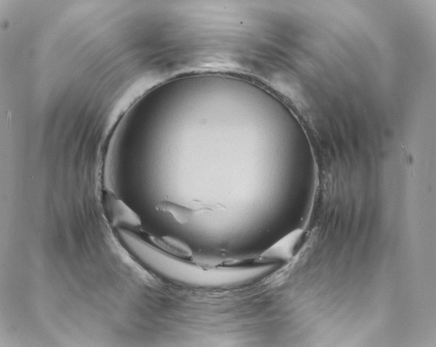 X0000088481374200705221406