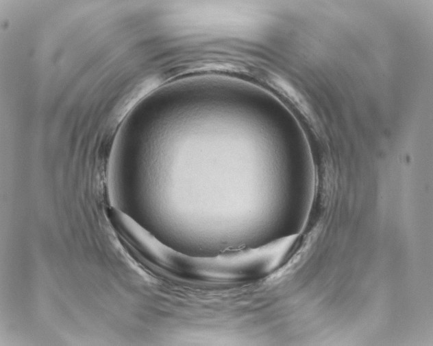 X0000088481377200705221406