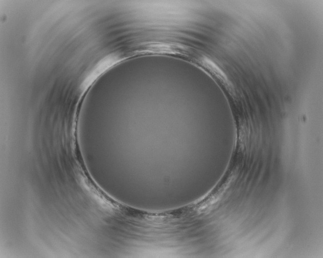 X0000088481378200705221406