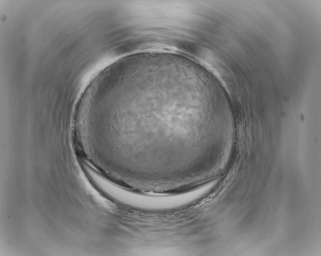 X0000088481379200705221406