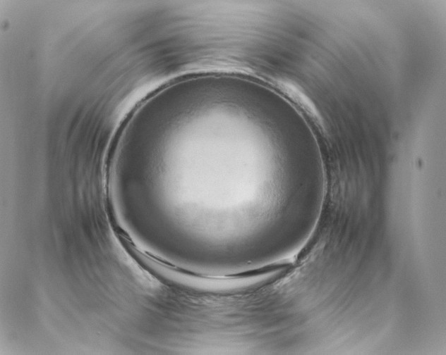 X0000088481380200705221406
