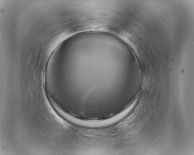 X0000088481383200705221406