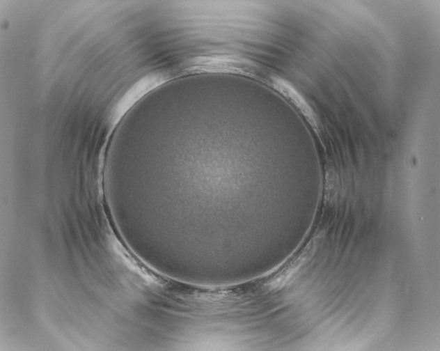 X0000088481386200705221406