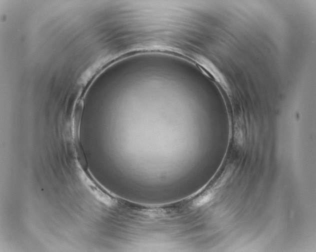 X0000088481388200705221406