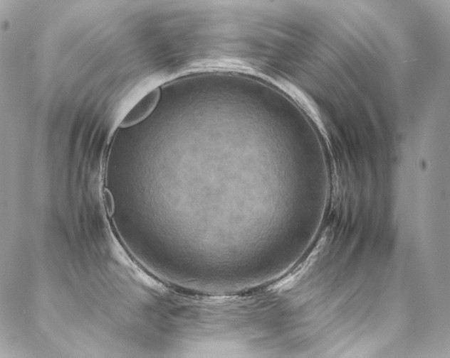 X0000088481390200705221406