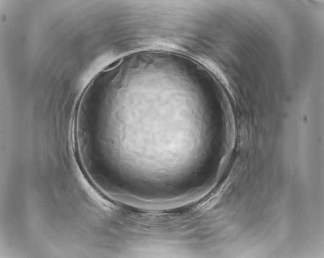 X0000088481391200705221406