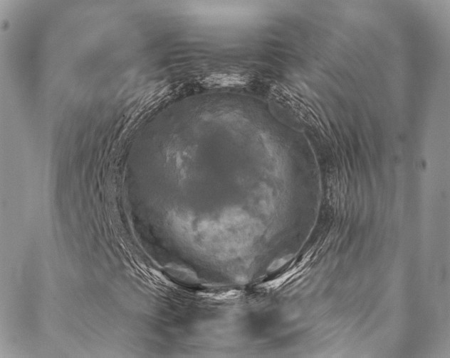 X0000088481393200705221405