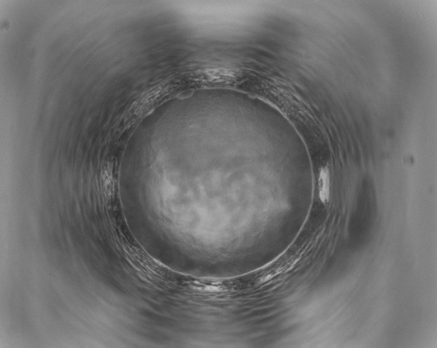 X0000088481395200705221405