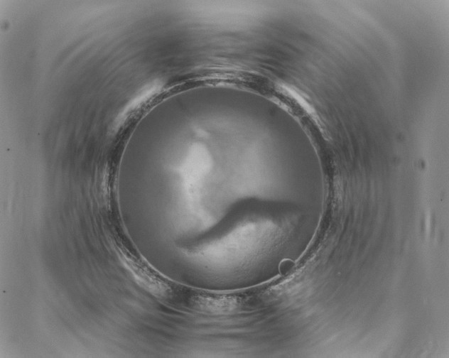 X0000088481403200705221405