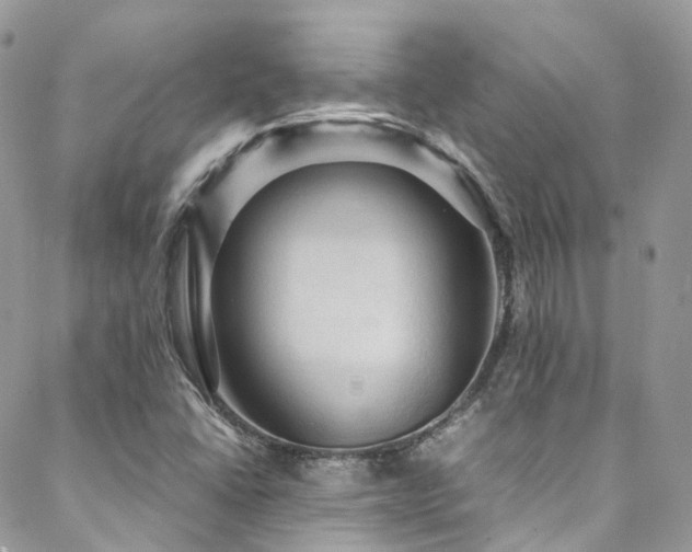 X0000088481406200705221405
