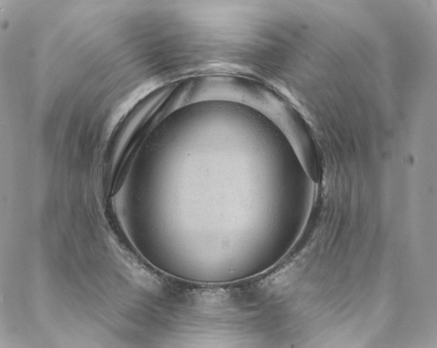 X0000088481410200705221405