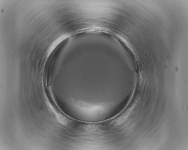 X0000088481418200705221405