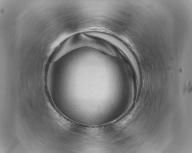 X0000088481422200705221406