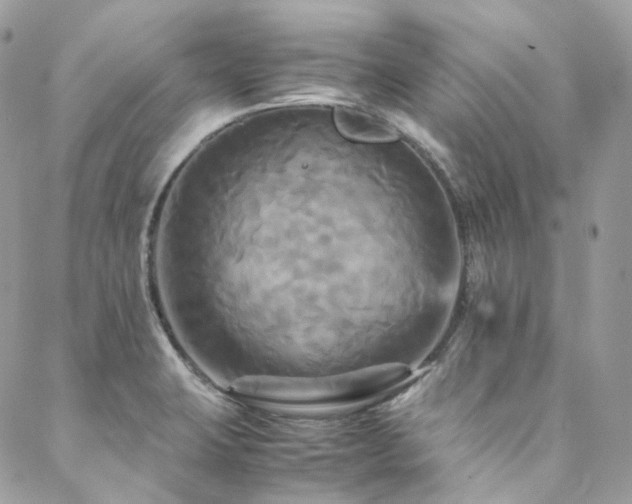 X0000088481423200705221406