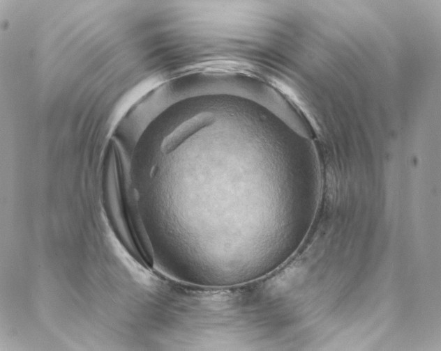 X0000088481426200705221406