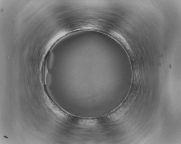 X0000088481427200705221406