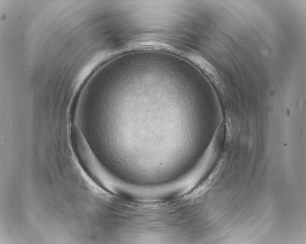 X0000088481430200705221406