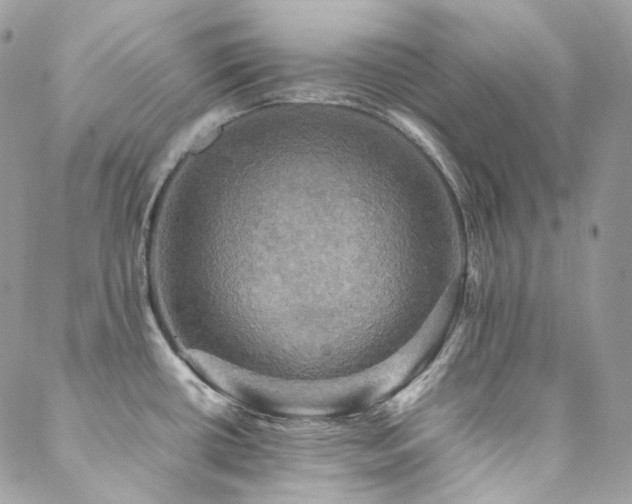 X0000088481434200705221406