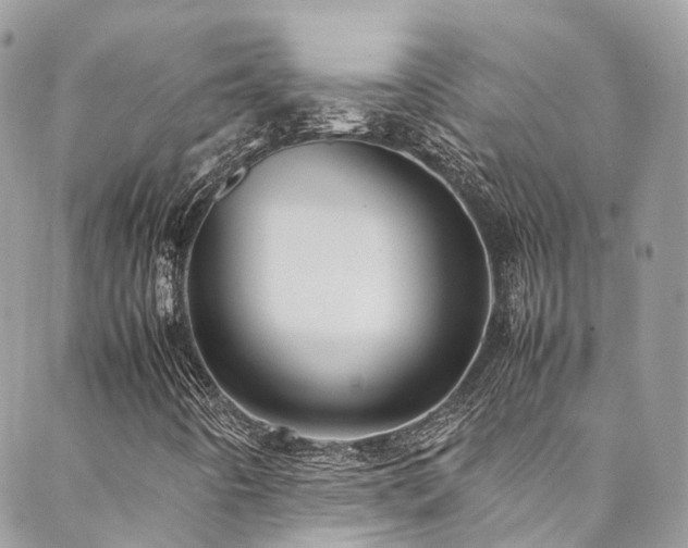 X0000088481442200705221405