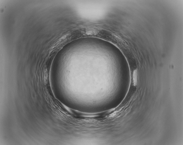 X0000088481443200705221405