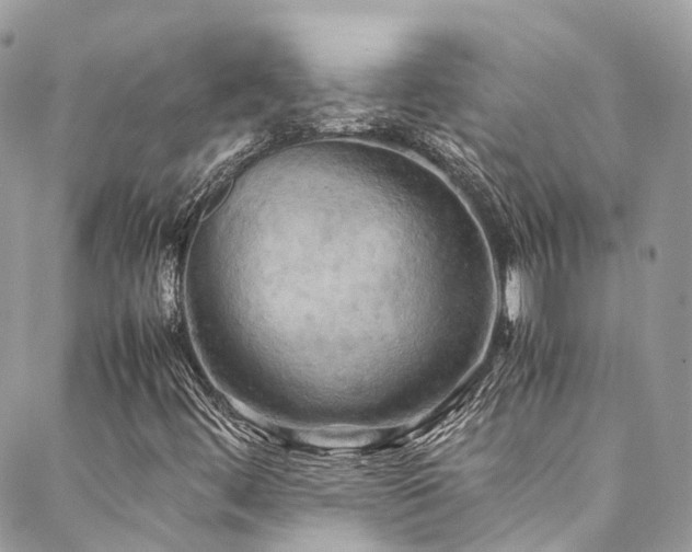 X0000088481444200705221405