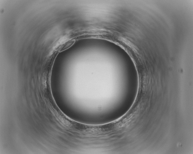 X0000088481451200705221405