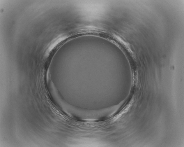 X0000088481453200705221405