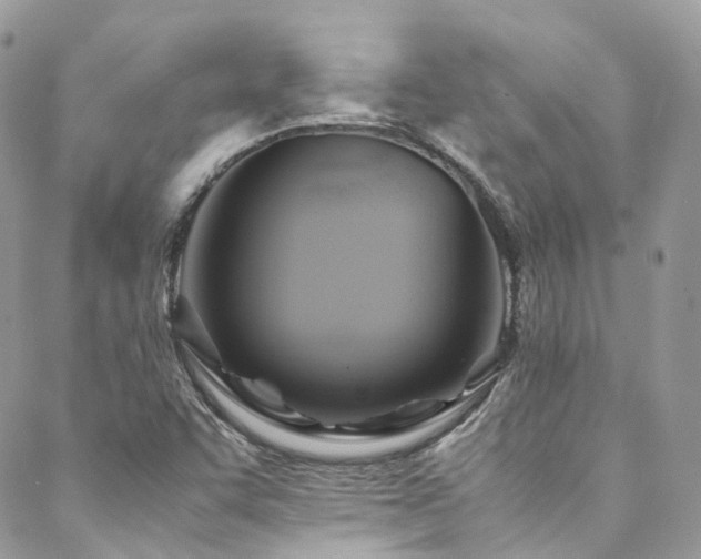 X0000088481455200705221405