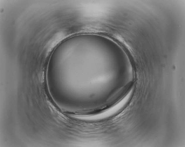 X0000088481459200705221405