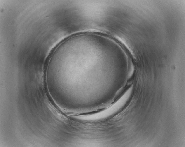 X0000088481460200705221405