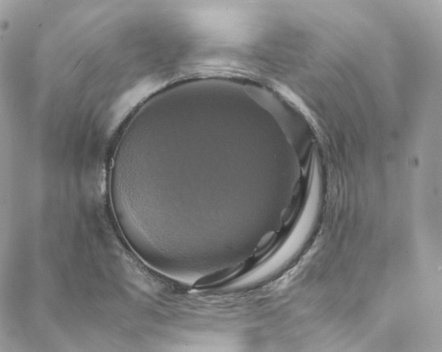 X0000088481461200705221405