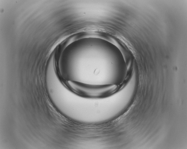 X0000088481465200705221405