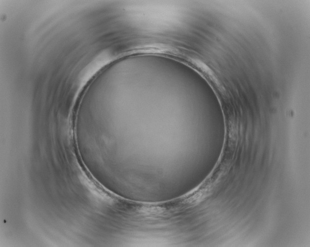 X0000088481466200705221405