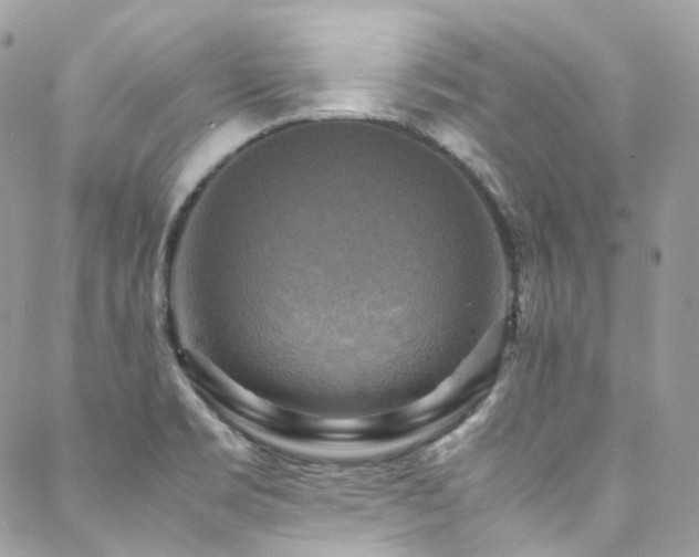 X0000088481469200705221405