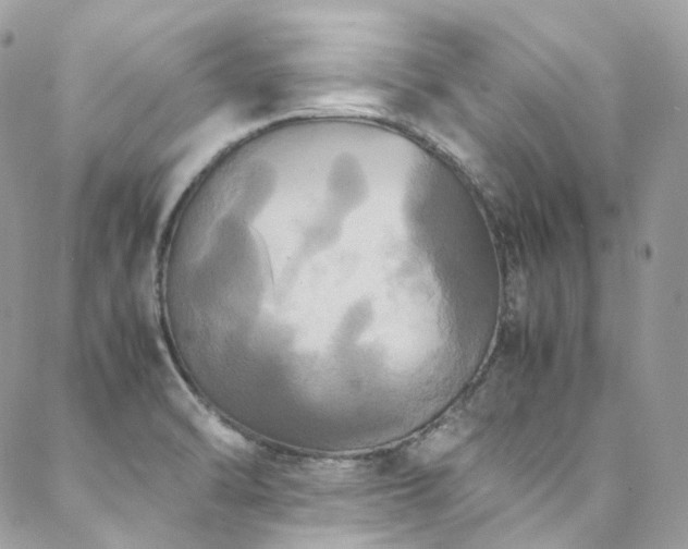 X0000088481470200705221405